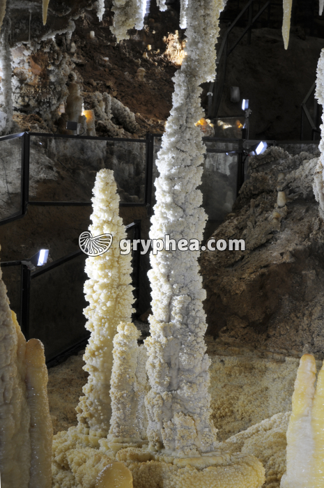 Stalagmites (Clamouse) - gryphea.org